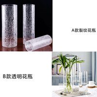 新品富貴竹/開(kāi)運(yùn)竹/轉(zhuǎn)運(yùn)竹/水養(yǎng)水培植物花卉//美化環(huán)境/重慶