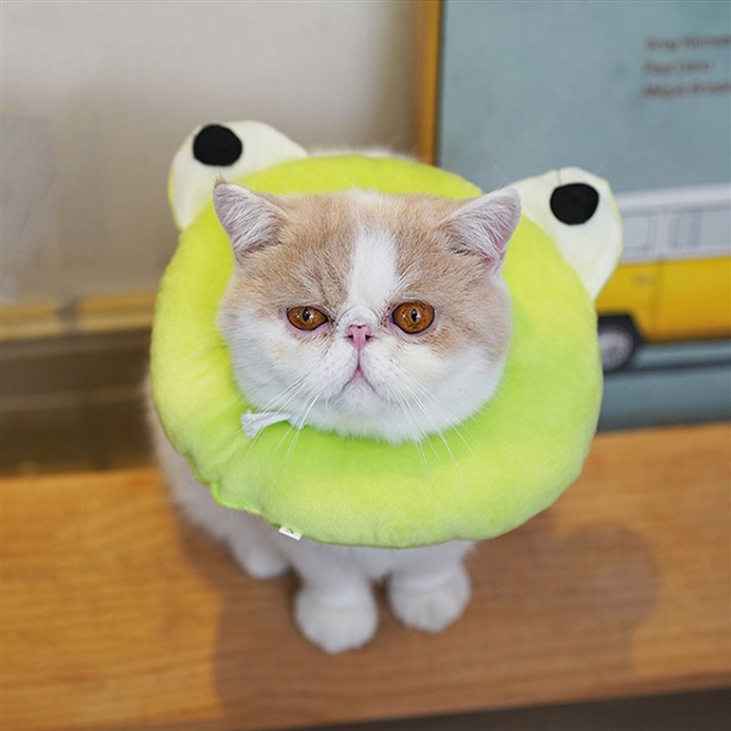 宠街宠物伊丽莎白圈耻辱圈脖圈猫咪狗狗软布项圈脖套防舔头套可爱