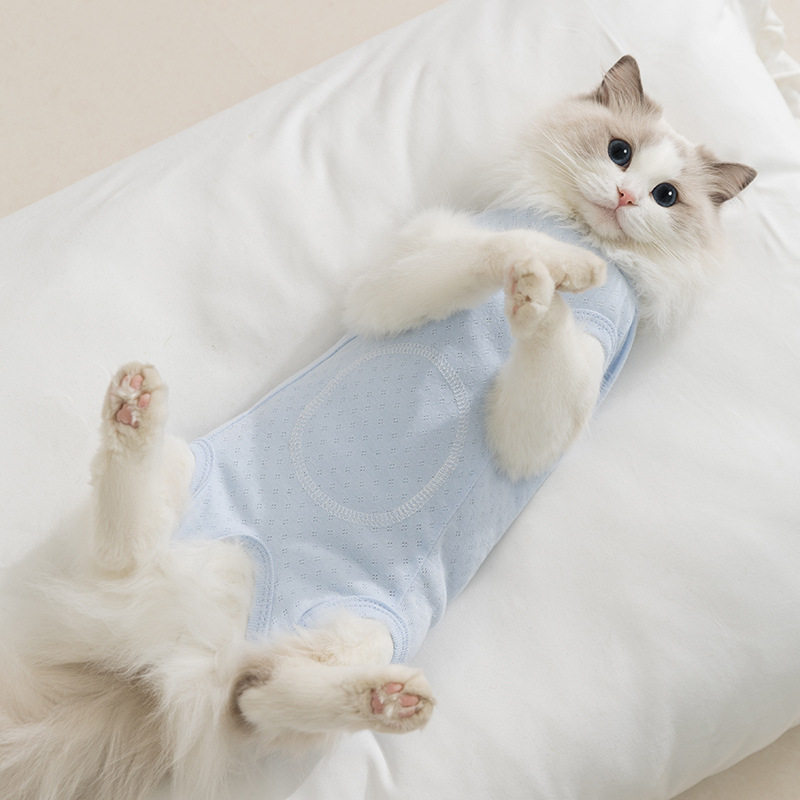 猫咪绝育服甜蜜梦境云朵四脚薄款包肚衣防挣脱术后服母猫断奶衣服