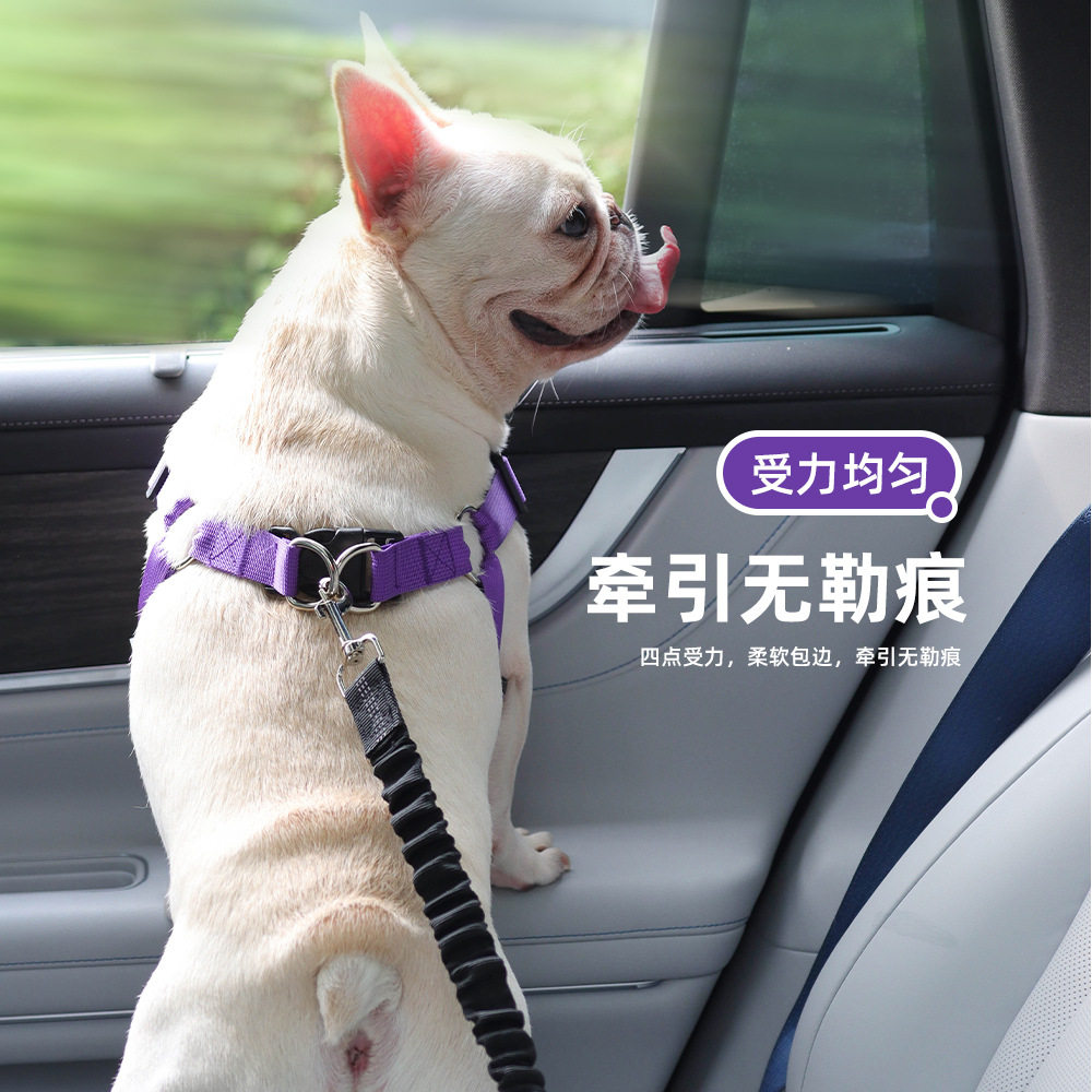狗狗车载胸背带通勤宠物