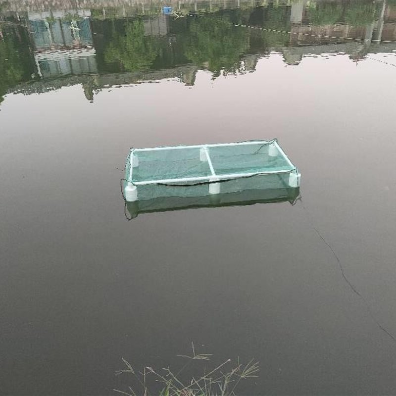 箱养鱼水产箱网兜养殖网渔网虾鳝鱼黄鳝网养殖鱼FOD苗防逃存鱼龙