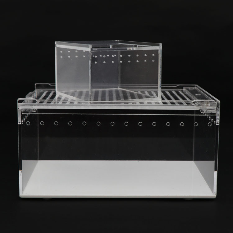 亚克力爬宠饲养盒角蛙蜘蛛蝎子守宫独角仙螳螂乌龟爬宠箱高透全景