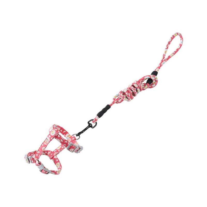 猫咪牵引绳遛猫绳宠物胸抱婴袋猫用工字型防挣脱和风项圈圆绳牵引