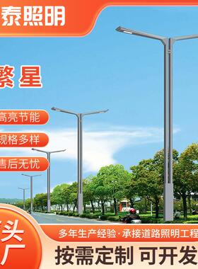工厂直供双臂路灯户外防水led路灯6米8米10米12米市电路灯