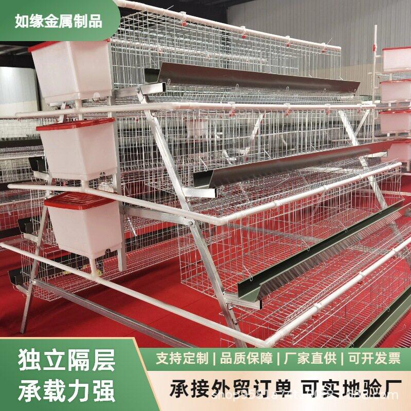 四层四门绿槽阶梯蛋鸡笼组装简家庭养殖养殖场通用养鸡设备鸡笼