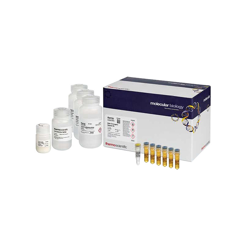 好货BseXI (BbvI) (3 UL) thermofisher上海生物网 内切酶 优质