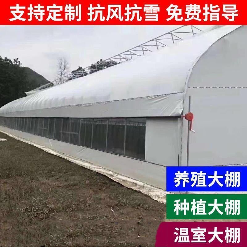 厂温室大棚骨架钢管养殖种植家用抗风雪全套猪鸡舍钢架简易连身促