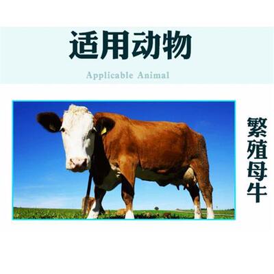 溢佳同惠2.5%繁殖母牛专用预混料/溢佳同惠预混料/母牛发情快天