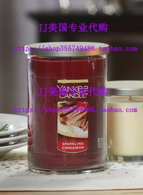 Yankee Candle Large Jar Candle, Sparkling Cinnamon