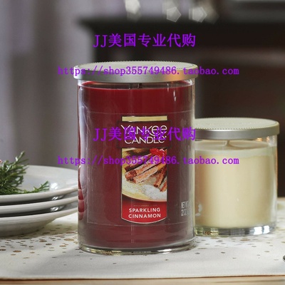 Yankee Candle Large Jar Candle, Sparkling Cinnamon