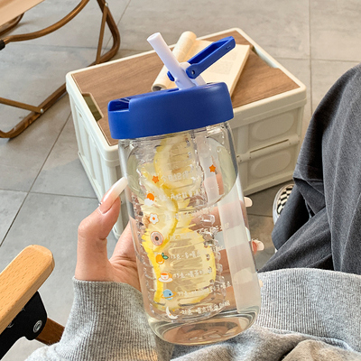 新品简约水杯夏季女大容量带吸管高颜值茶隔便携学生儿童玻璃泡茶