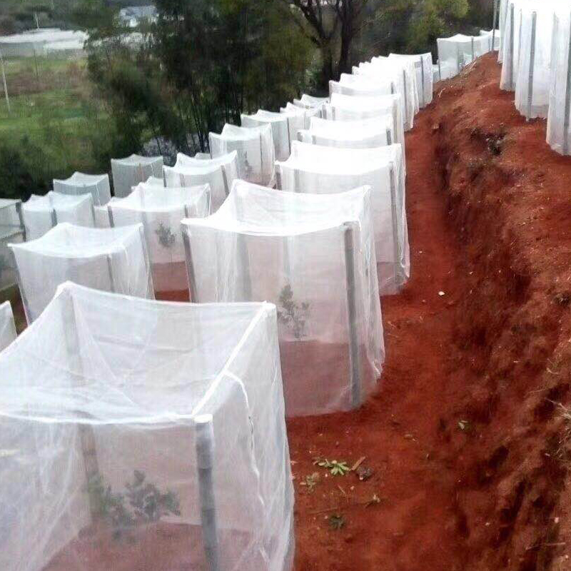 100米农用防虫网大棚专用蔬菜加厚60目尼龙养殖场防蚊网果树防鸟