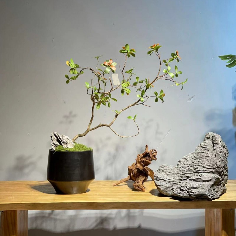 好货新中式禅意茶室仿真植物盆景摆件 酒店售楼处吧台玄关桌面装
