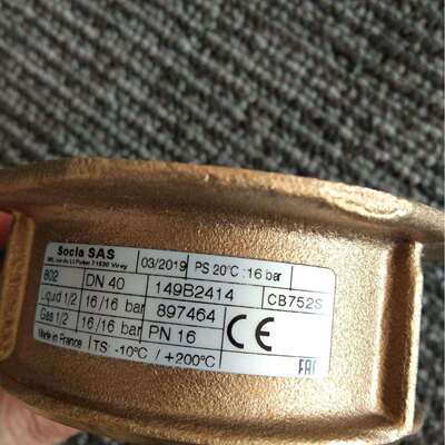 Autoflame私服电机MM10005马达MM10004 (230V 50/60HZ)