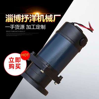 源头厂家微型直流永磁电动机 70zyt无刷直流减速电机 小型电机
