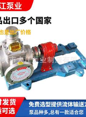 多功能YCB-4不锈钢圆弧齿轮泵 化工圆弧齿轮油泵厂家 高温循环泵