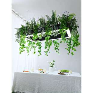 非标办公区灯具长方形光圈商场餐厅民宿超市酒店大堂植物吊灯