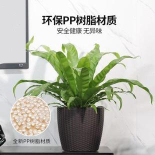 自动吸水储水花盆懒人塑料仿藤编北欧简约家用客厅阳台大号免浇水