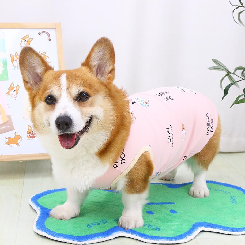 宠物狗狗衣服夏季薄款透气夏天柯基泰迪柴犬小型犬背心2024年新款
