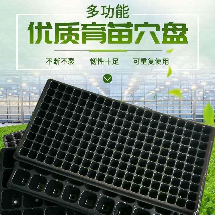 育苗盘穴盘加厚多肉育苗盆小黑方塑料营养杯栽植营养钵育苗杯苗盘