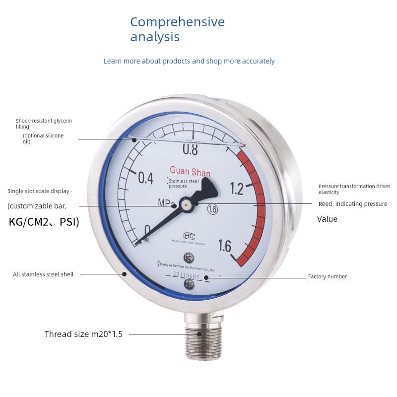 鹳山 不锈钢压力表Y100BF YN100BF不锈钢耐震压力表 高温 氨用