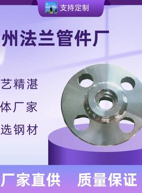 国标HG/T20592 SW 304 316 不锈钢承插焊法兰 RF突面 DN100 PN40