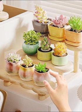 桌面工作站绿色植物储藏架凸窗桌面窗台阳台小多层多肉专用花架展