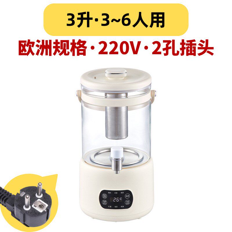 养生壶家用3升大容量电热烧水壶煮茶器花茶桶带出水口跨境110V