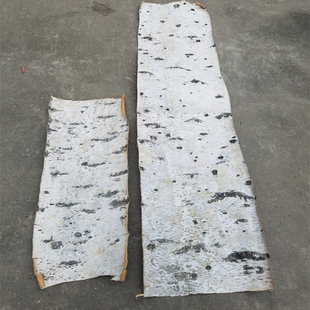 热销天然白桦树皮桦树皮家居装饰树皮DIY花材工艺原料装潢树皮装