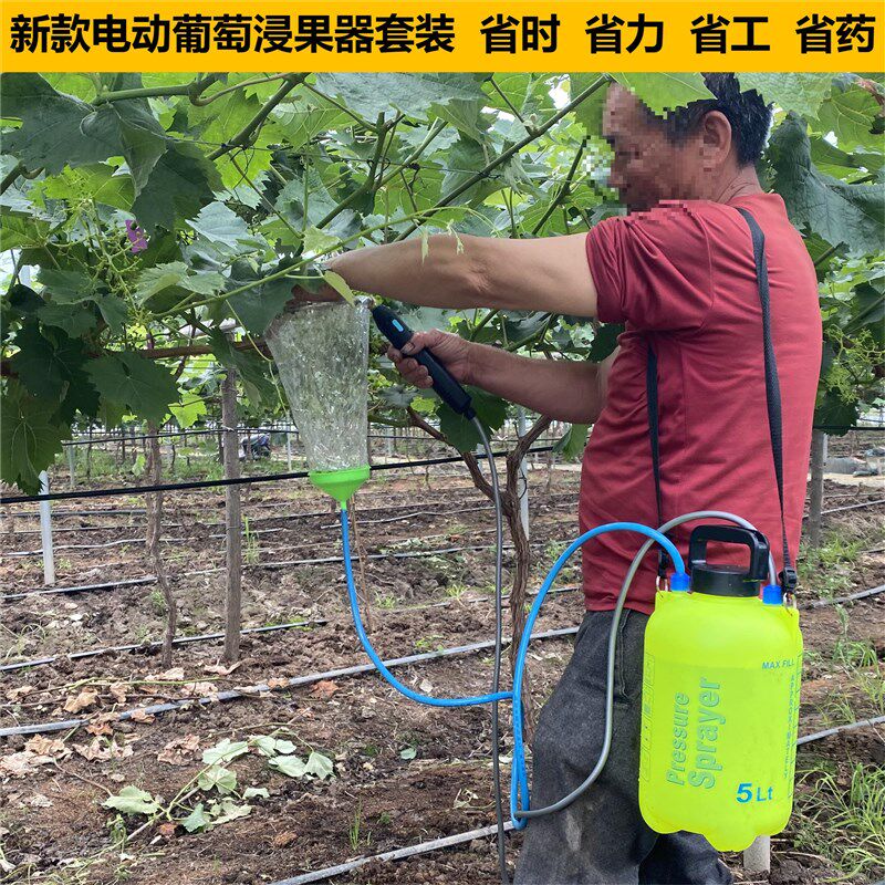 热销新品5L电动喷壶葡萄膨果器套袋细雾化喷头药水药液回流催红浸