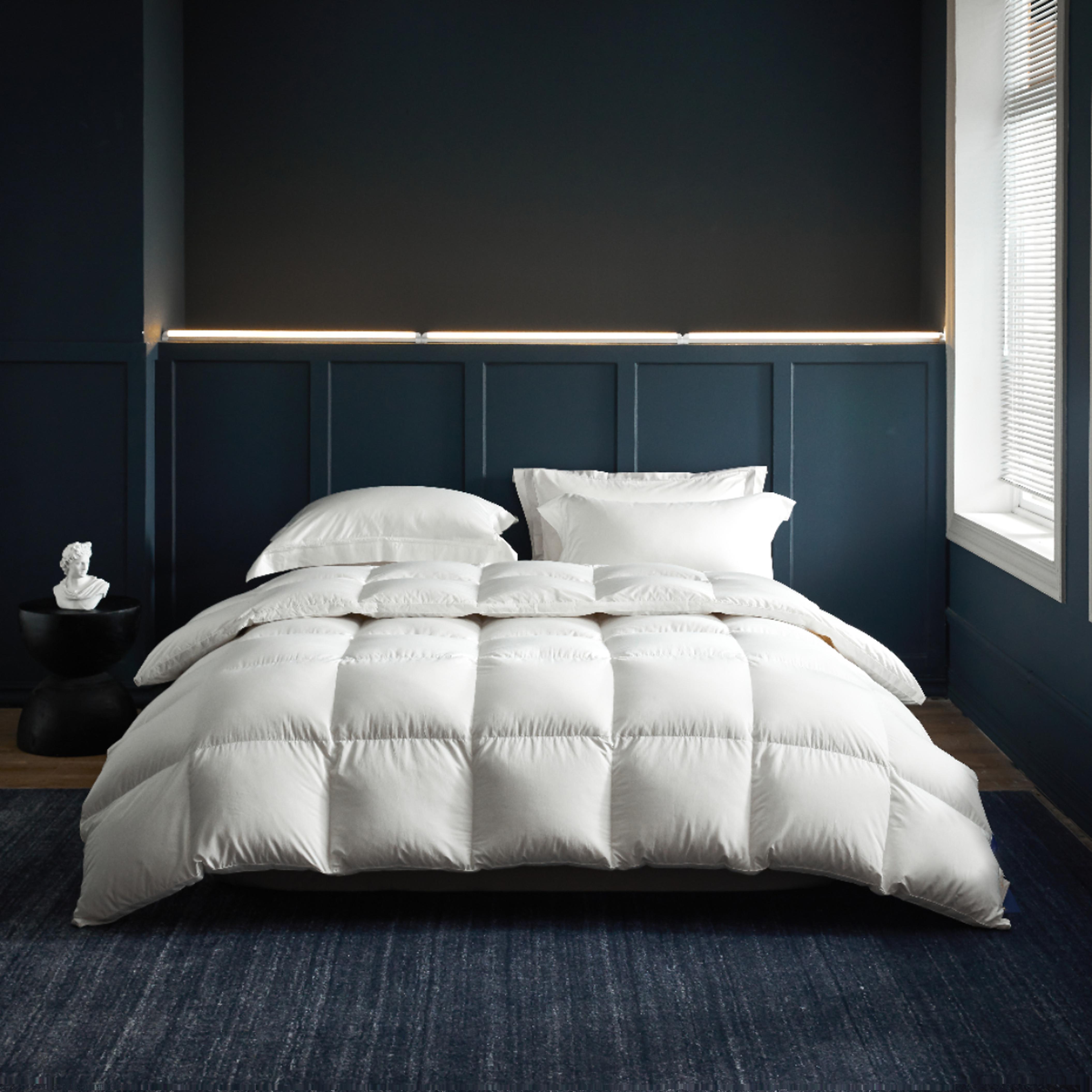 店主自留95白鹅绒静音羽绒被春秋被加厚冬被保暖被芯空调被