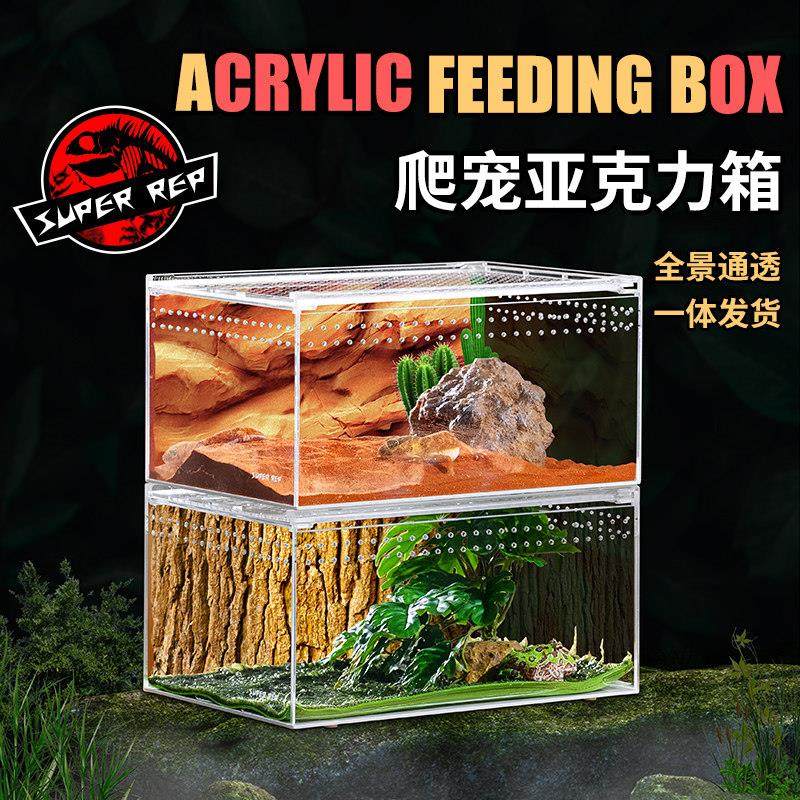 SuperRep爬虫亚克力饲养盒宠物箱蜘蛛守宫角蛙甲虫蚕宝宝蛇爬宠箱,宠物/宠物食品及用品,爬宠缸/箱,淘宝优惠券,粉丝福利购,淘宝优惠卷