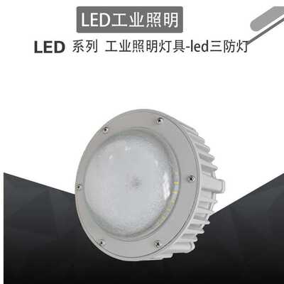防爆灯LED  FGV6207-LED50LED三防灯平台灯工业照明灯具现货