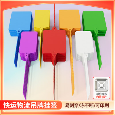 洲颂封条扎带厂家直销