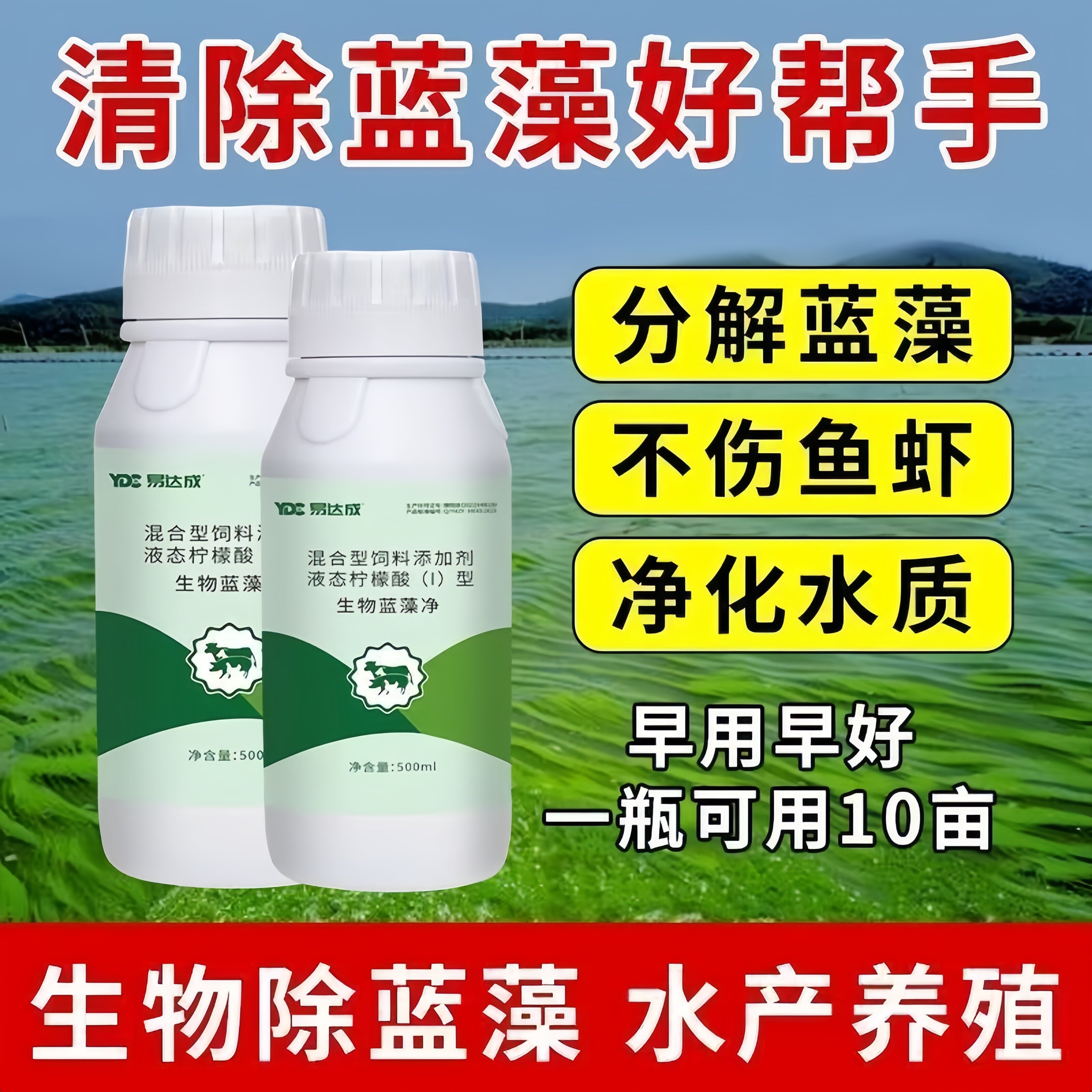 鱼塘去除绿藻蓝藻分解酶水藻去除剂蓝藻速灭去老绿水速清水产养殖