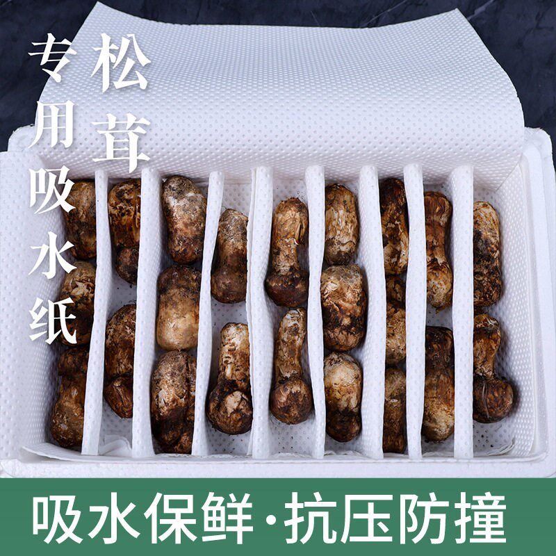 热销商用一次性生鲜吸水纸菌菇松茸保鲜纸垫水果蔬菜加厚包装纸大
