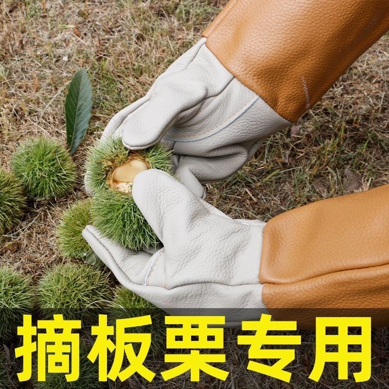 热销防刺手套防扎园艺加厚防割剥板栗外壳神器拾板栗采摘板栗专用