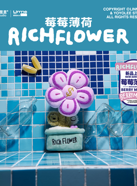 有钱花「莓莓薄荷」30cm桌面摆件客厅装饰毛绒玩具 RICH FLOWER B