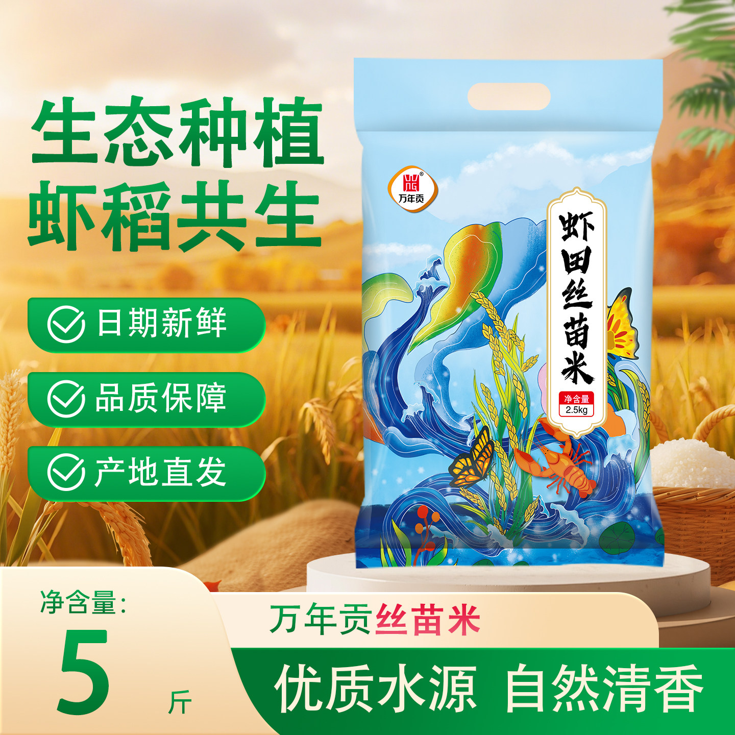 万年贡当季新米丝苗米长粒2.5kg虾田丝苗米南方大米