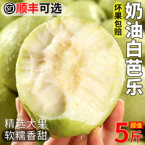 顺丰礼盒丨香甜奶油芭乐送酸梅粉