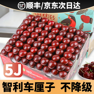 智利进口车厘子新鲜水果大樱桃5斤装礼盒包邮3j4j5j脆甜孕妇生鲜