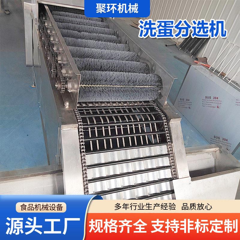 鸭蛋重量分拣一体机商用鸡蛋重量分选机全自动鸡蛋鸭蛋选蛋机