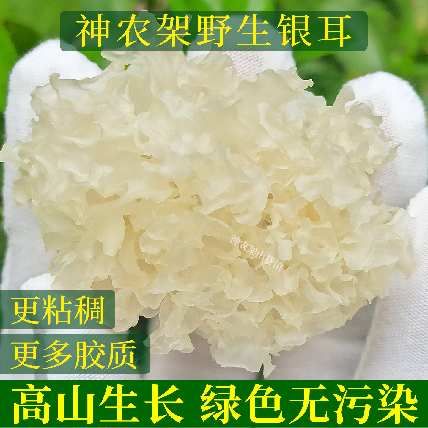 神农架野生银耳椴木银耳胶质更浓银耳/冻干银耳及银耳