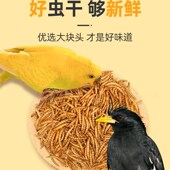 鹦鹉鸟粮饲料面包虫干鸽子粮虎皮鹦鹉八哥玄凤牡丹珍珠专用粮食物