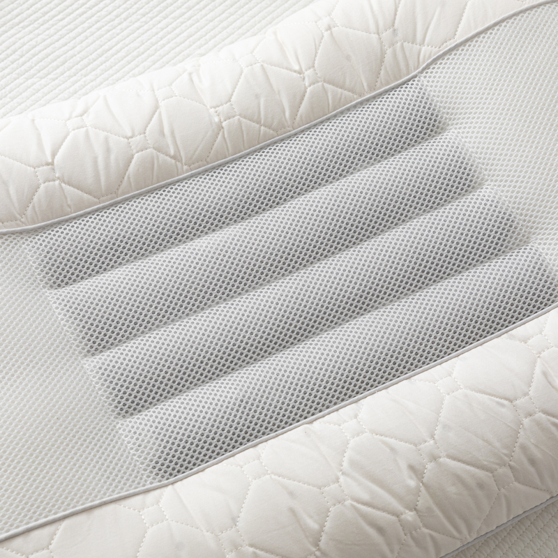 决明子枕头枕芯护颈椎助睡眠夏天单人全棉家用一对装不塌陷不变形