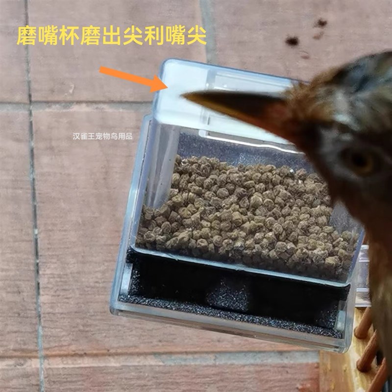 画眉鸟八哥鹦鹉长嘴锋勾鸟笼通用鸟用磨嘴杯防撒料透明食杯