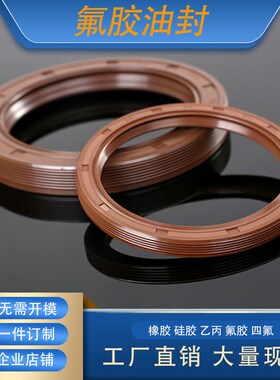GB/T13871唇形密封圈FBTC型旋转氟胶骨架油封内径35mm外径45-55mm
