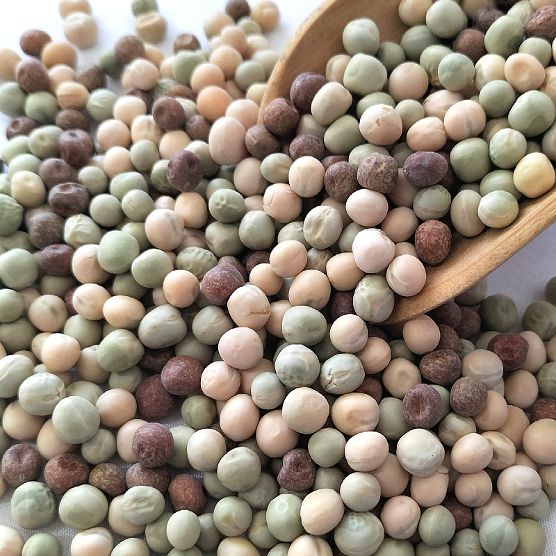 20斤豌豆组合鸽粮饲料枫豆绿豌豆类混合鸽粮高蛋白赛鸽信鸽成鸽饲