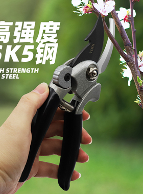 修枝剪果树剪树枝绿化苗木剪刀粗枝神器剪树枝剪刀园林园艺园丁剪