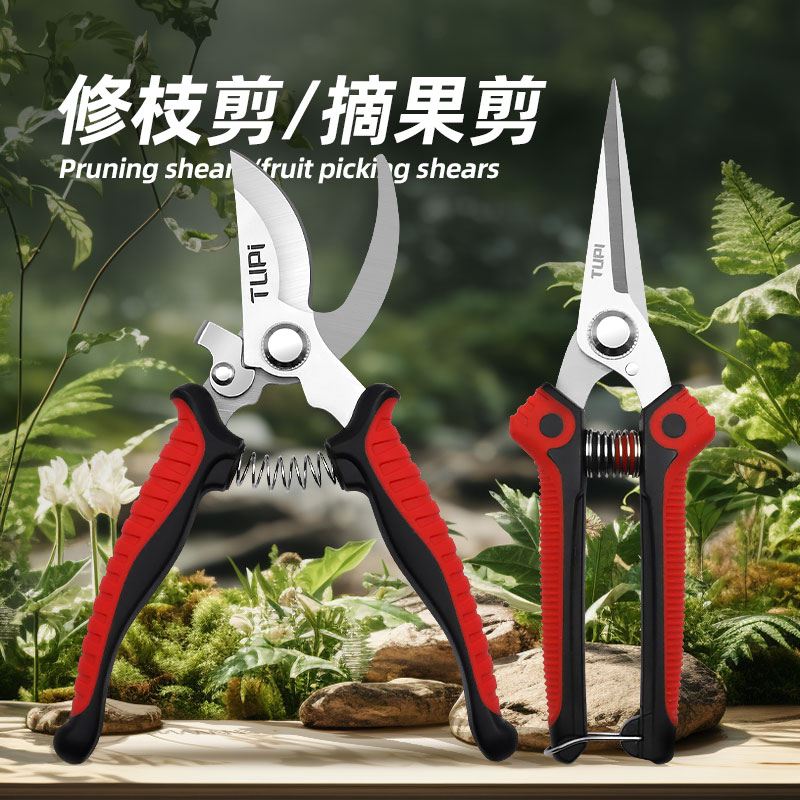 剪枝修花摘果专用强力剪刀